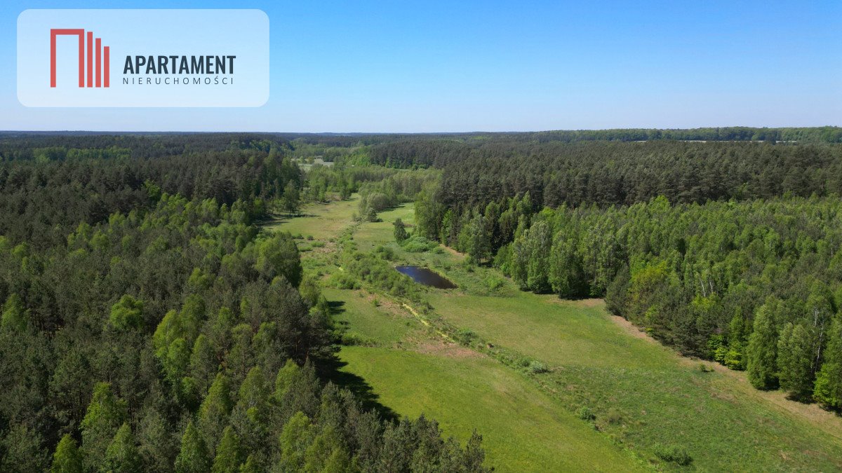 Działka budowlana na sprzedaż Borzechowo  46 200m2 Foto 4