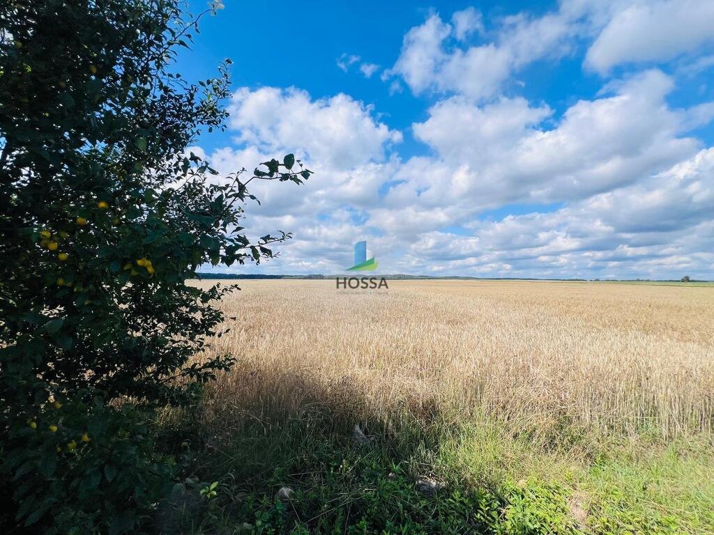 Działka budowlana na sprzedaż Radomin  15 898m2 Foto 8