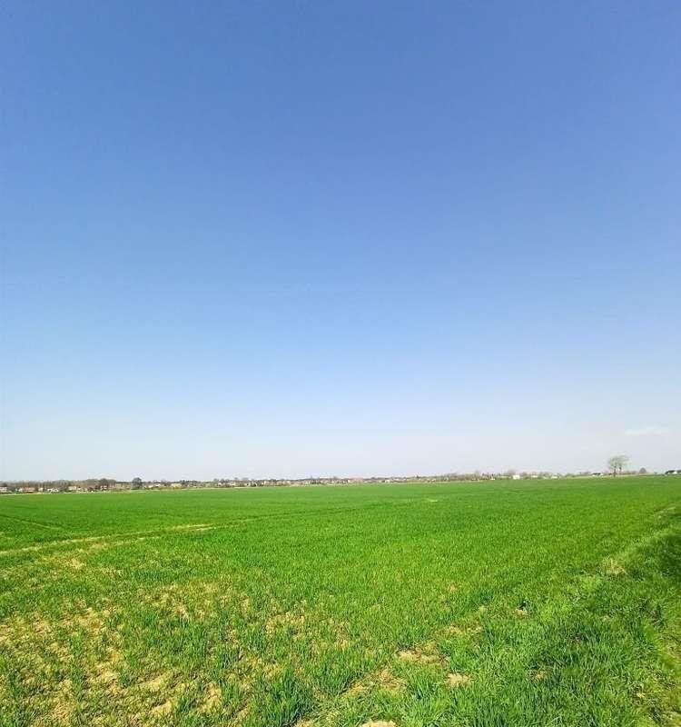 Działka rolna na sprzedaż Sztutowo  3 000m2 Foto 9