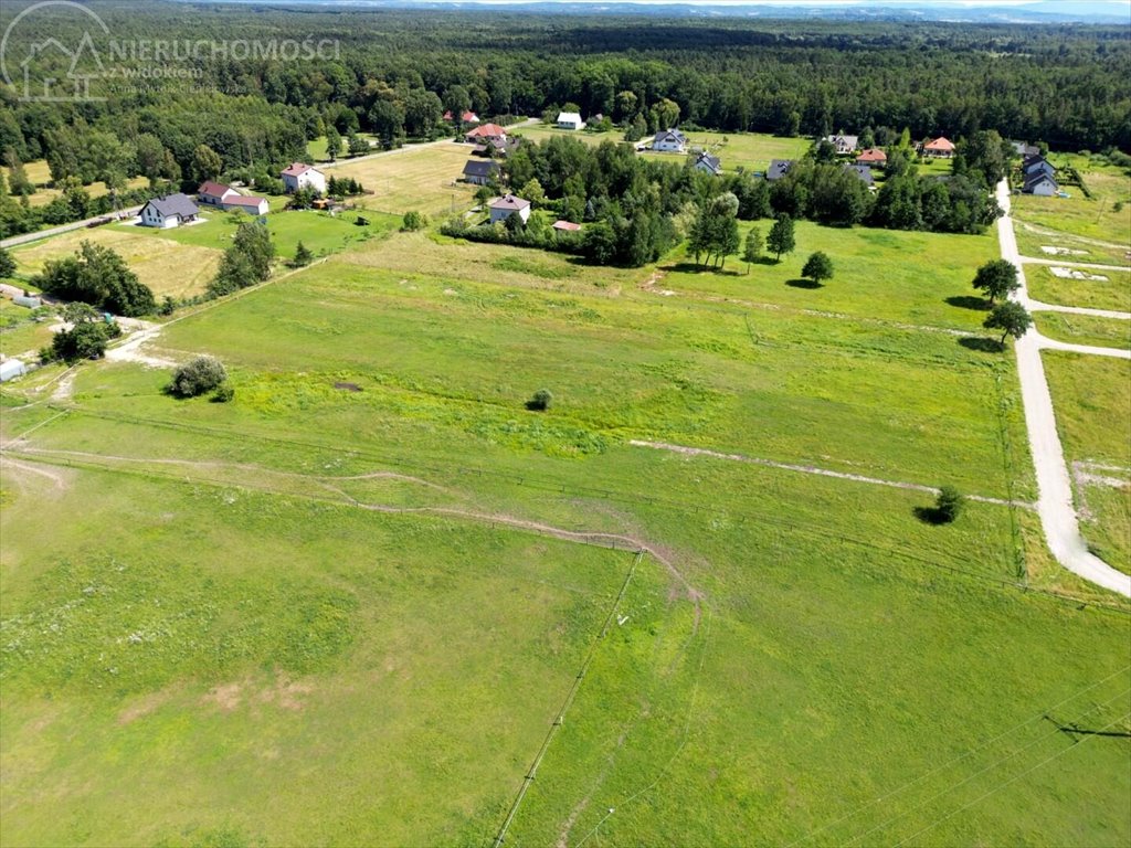 Działka komercyjna na sprzedaż Niepołomice  2 667m2 Foto 10