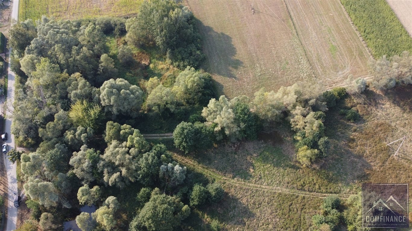 Działka rolna na sprzedaż Lubasz  10 100m2 Foto 13