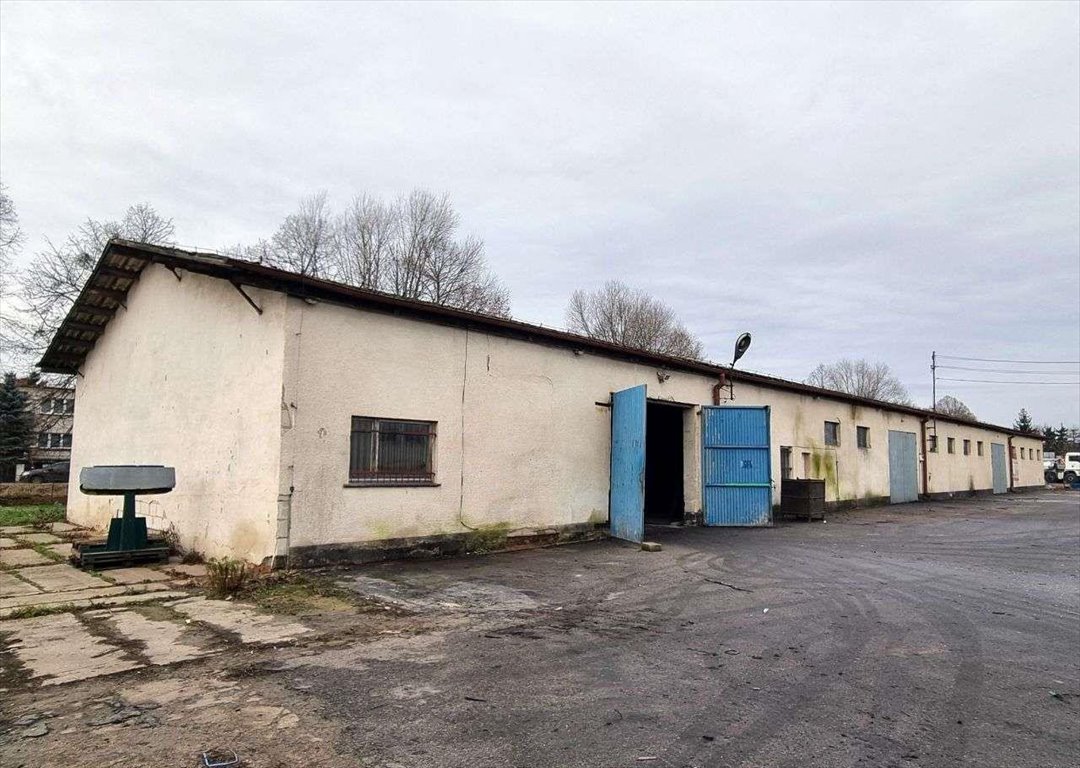 Magazyn na wynajem Mosina  800m2 Foto 4