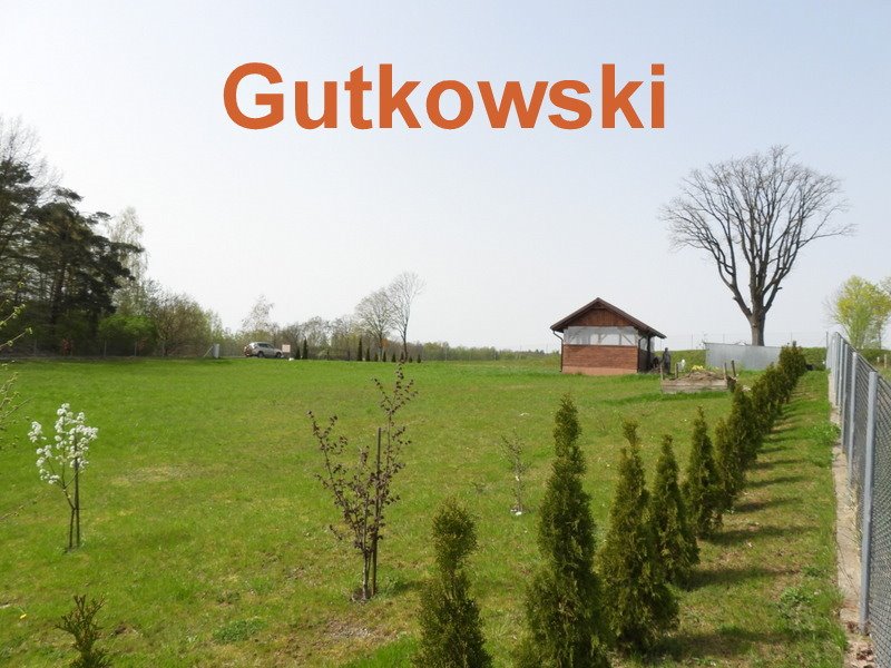 Działka siedliskowa na sprzedaż Nejdyki, gmina Iława, Nejdyki  3 006m2 Foto 3