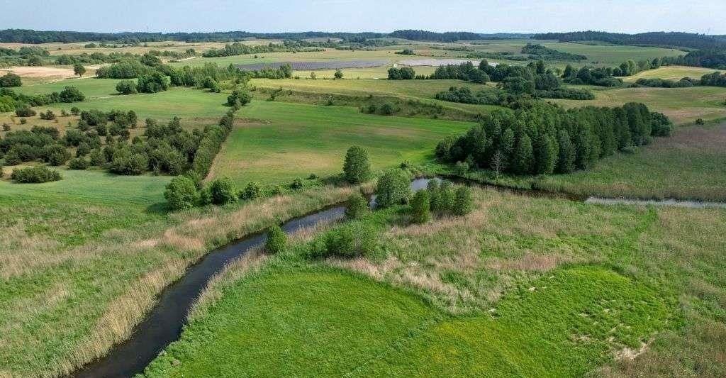 Działka rolna na sprzedaż Straduny  3 169m2 Foto 11