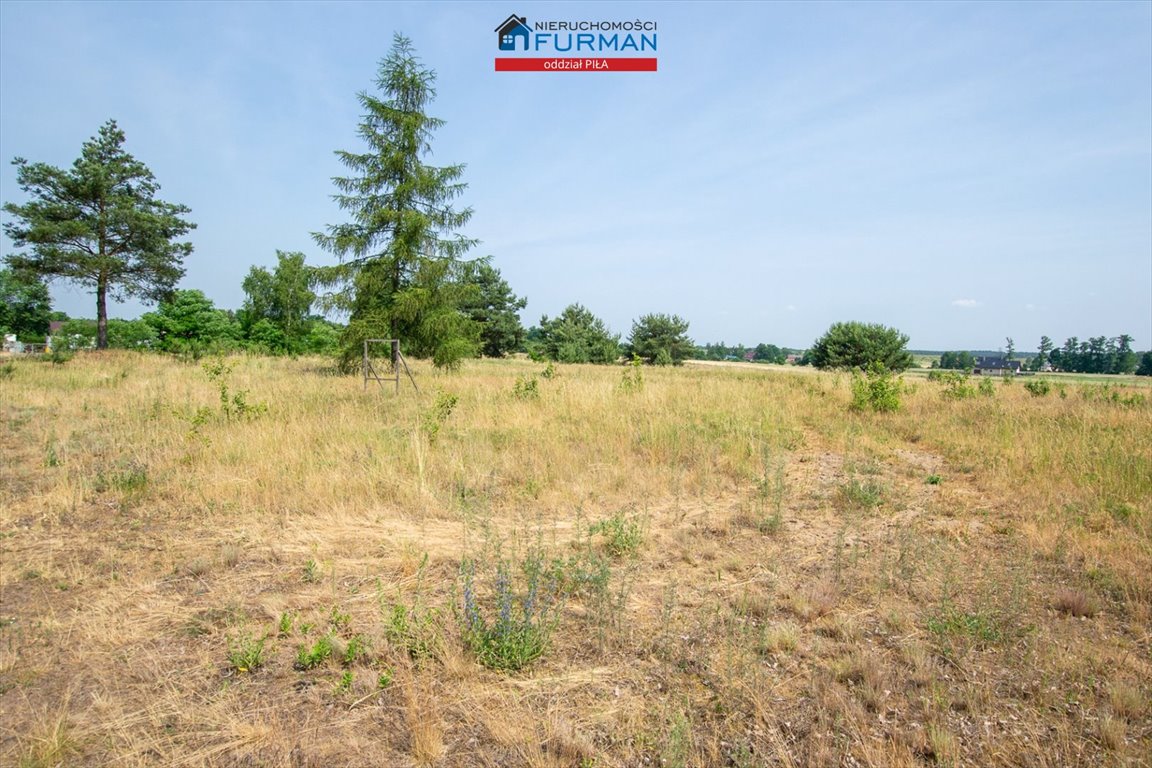 Działka inwestycyjna na sprzedaż Stobno  3 000m2 Foto 8