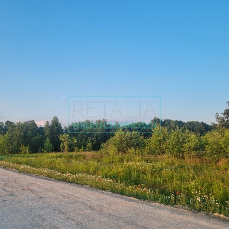 Działka komercyjna na sprzedaż Mieszkowo  10 000m2 Foto 6