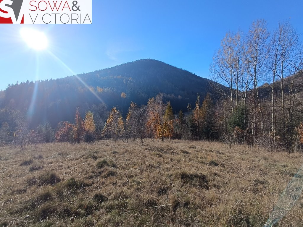 Działka budowlana na sprzedaż Jedlina-Zdrój, Kamieńsk  3 900m2 Foto 4