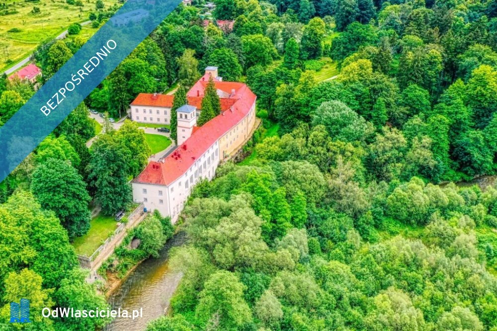 Lokal użytkowy na sprzedaż Trzebieszowice  123 816m2 Foto 1