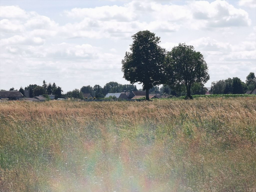 Działka rolna na sprzedaż Kleszczyna  27 800m2 Foto 5