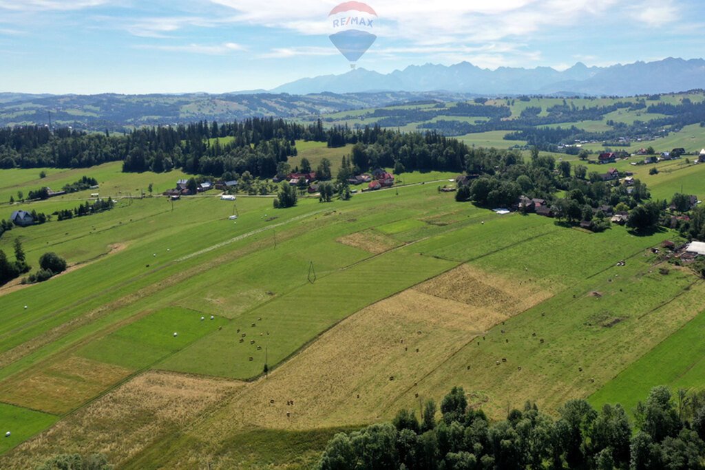 Działka budowlana na sprzedaż Maruszyna  9 650m2 Foto 11