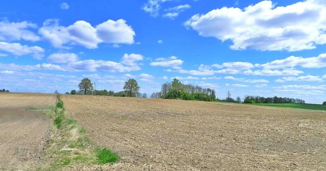 Działka rolna na sprzedaż Raczki  86 000m2 Foto 6