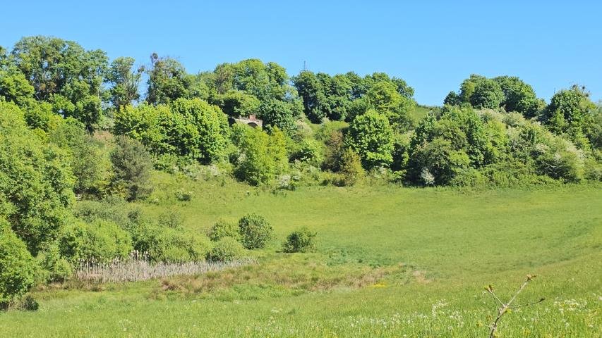 Działka inwestycyjna na sprzedaż Gubity  13 600m2 Foto 6