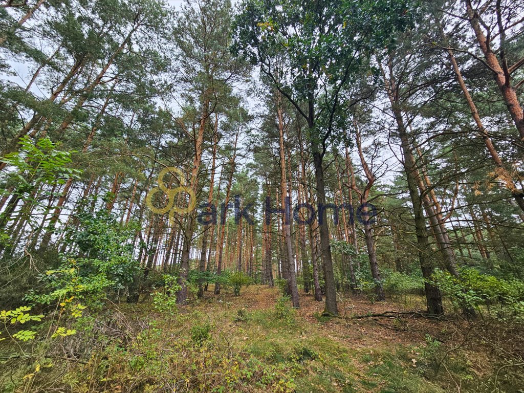 Działka budowlana na sprzedaż Leśniów Mały  1 600m2 Foto 1