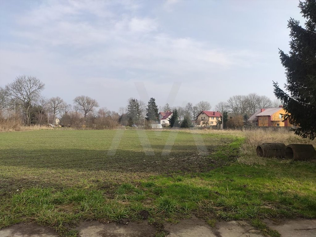 Działka budowlana na sprzedaż Krępiec, KRĘPIEC  1 124m2 Foto 2