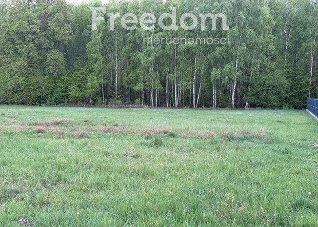 Działka budowlana na sprzedaż Ławki  1 500m2 Foto 3