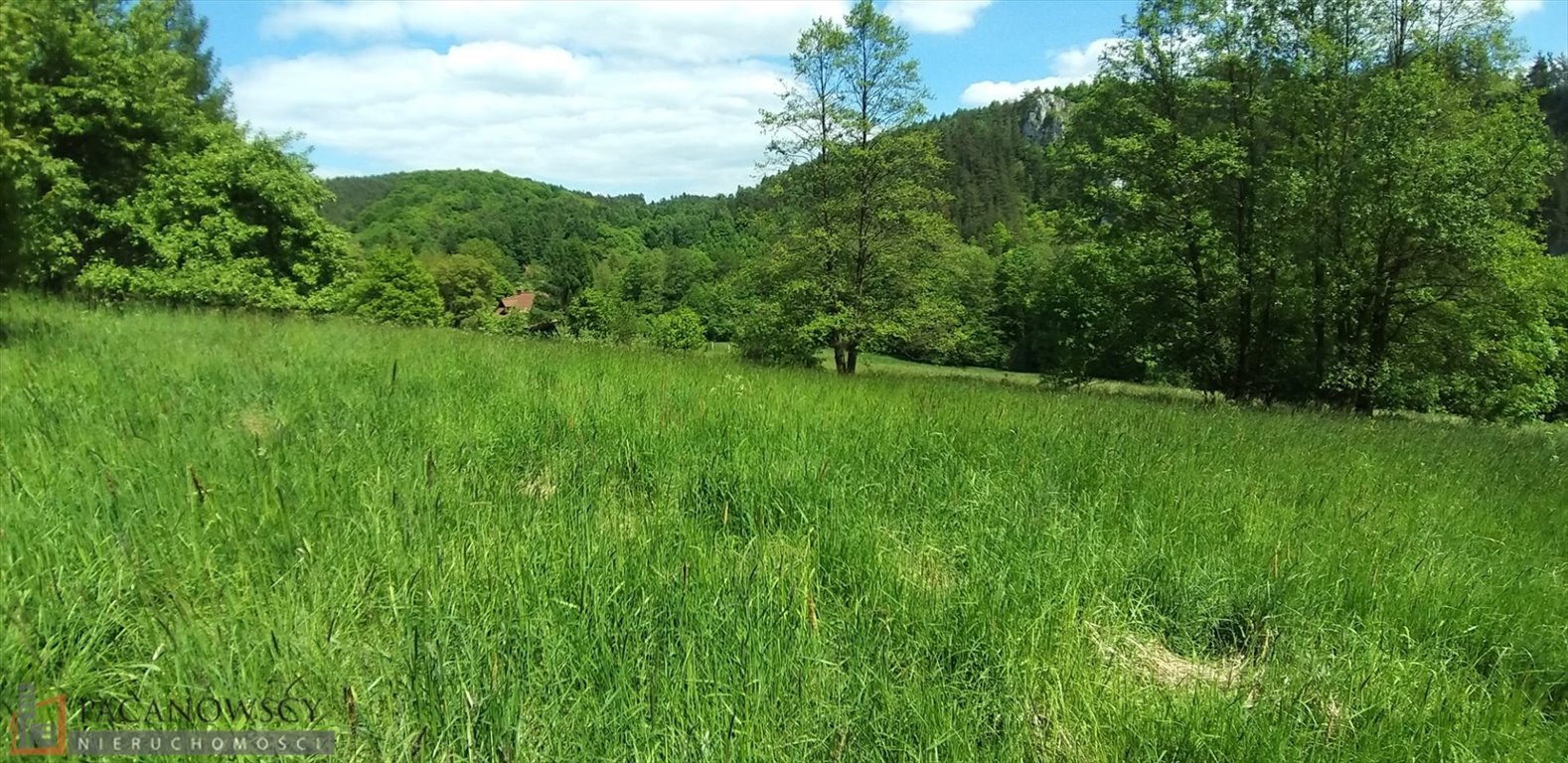Działka rolna 50 arów w Brzezince – cicha i zielona okolica Brzezinka  5 000m2 Foto 1