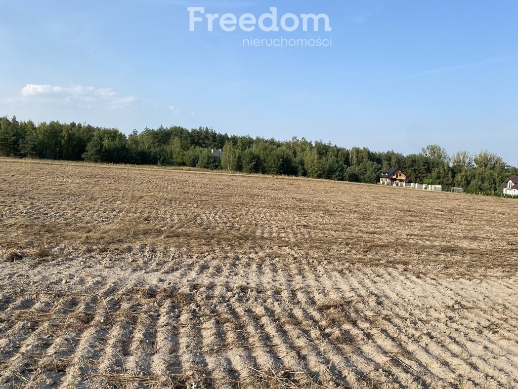 Działka rolna na sprzedaż Ciechocin  9 200m2 Foto 6