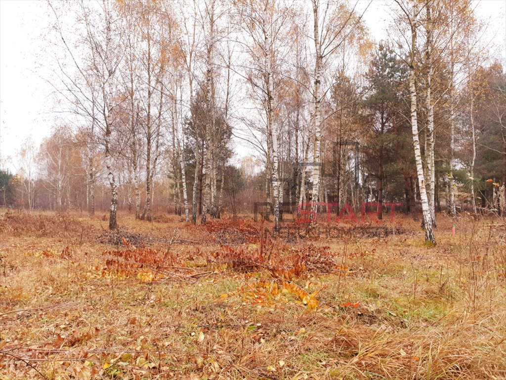 Działka budowlana na sprzedaż Osowiec  1 230m2 Foto 8