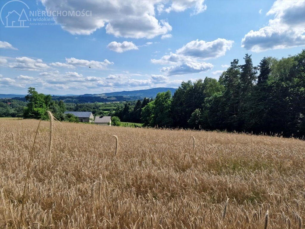 Działka budowlana na sprzedaż Błażkowa  2 200m2 Foto 4