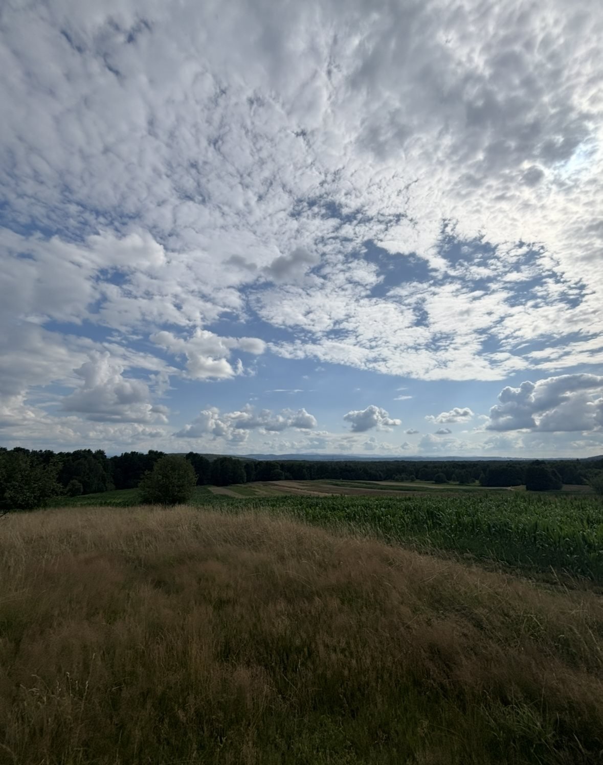 Działka rolna na sprzedaż Czernichów  70 000m2 Foto 1