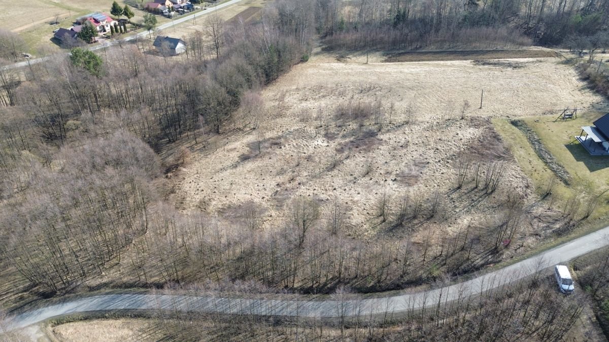 Polecam widokową działkę pod dom w Czarnorzecko-Strzyżowskim Parku Huta Gogołowska  5 400m2 Foto 1