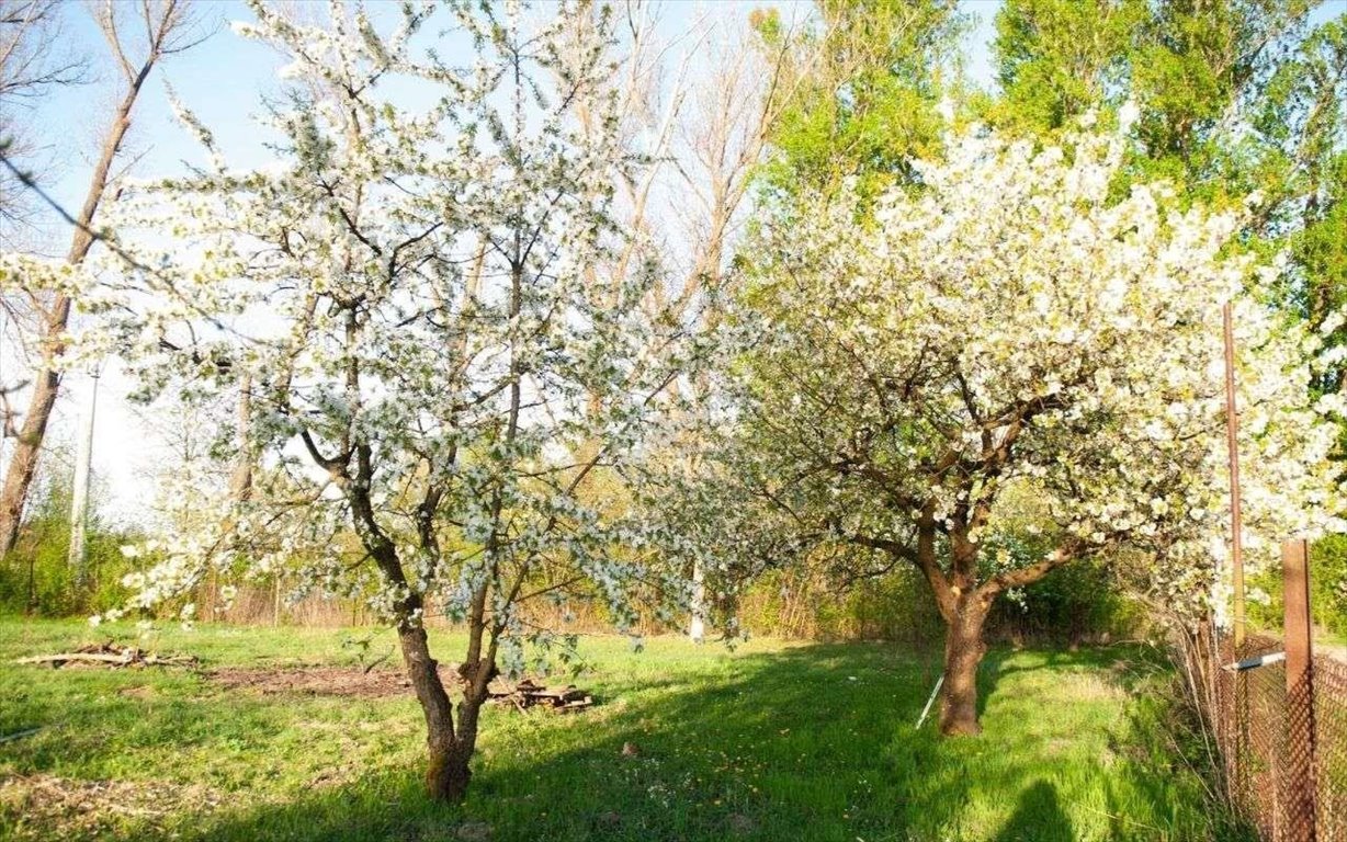 Działka budowlana na sprzedaż Janki  1 032m2 Foto 5