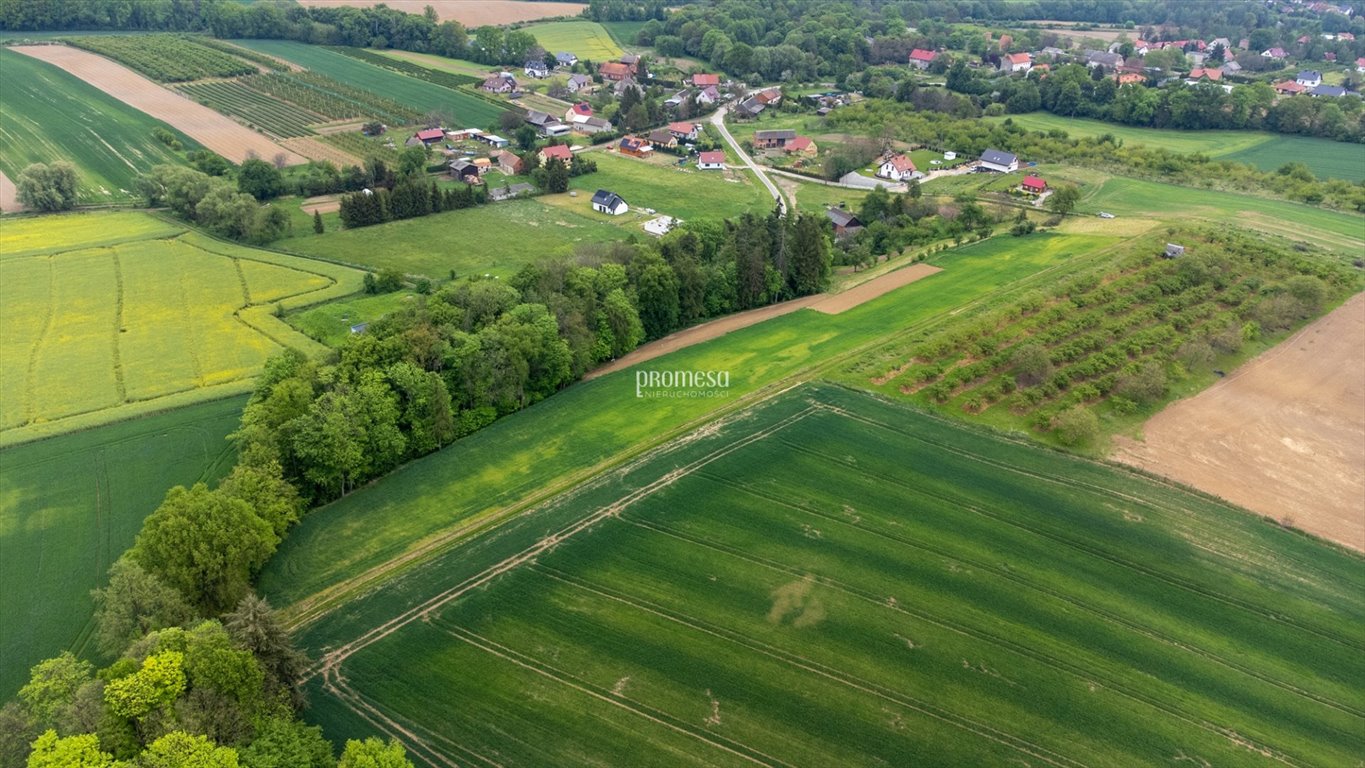 Działka inna na sprzedaż Taczów Wielki, Malinowa  1 176m2 Foto 9