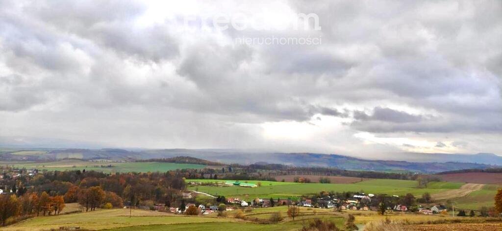 Działka inna na sprzedaż Nowa Ruda  4 359m2 Foto 3