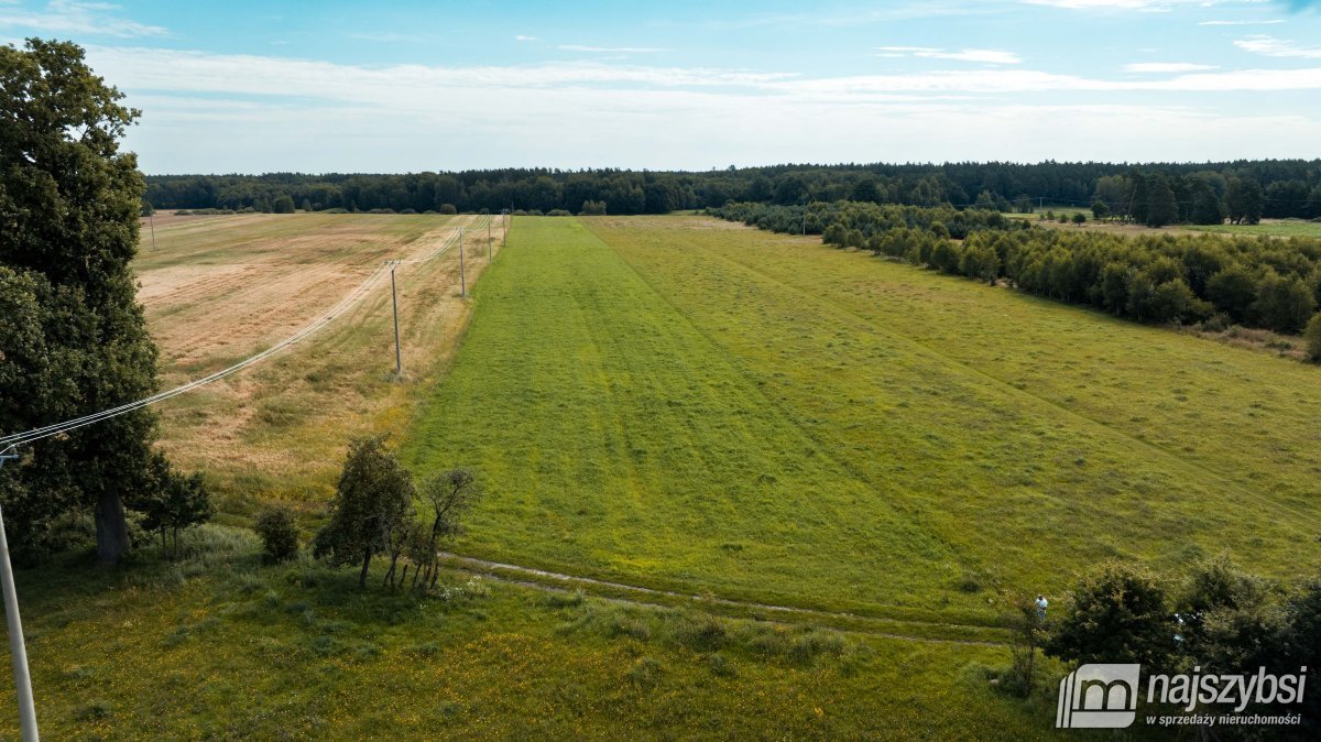 Działka rolna na sprzedaż Czermnica  17 100m2 Foto 2