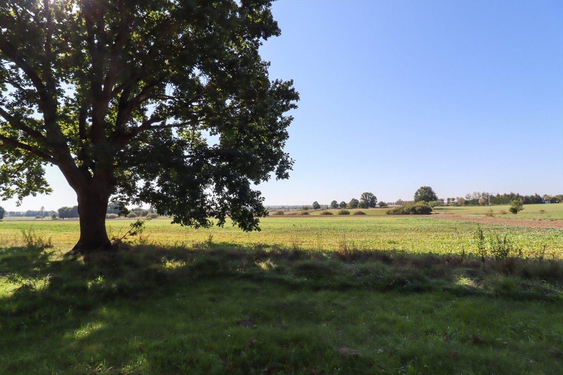 Działka budowlana na sprzedaż Łącko  20 900m2 Foto 6