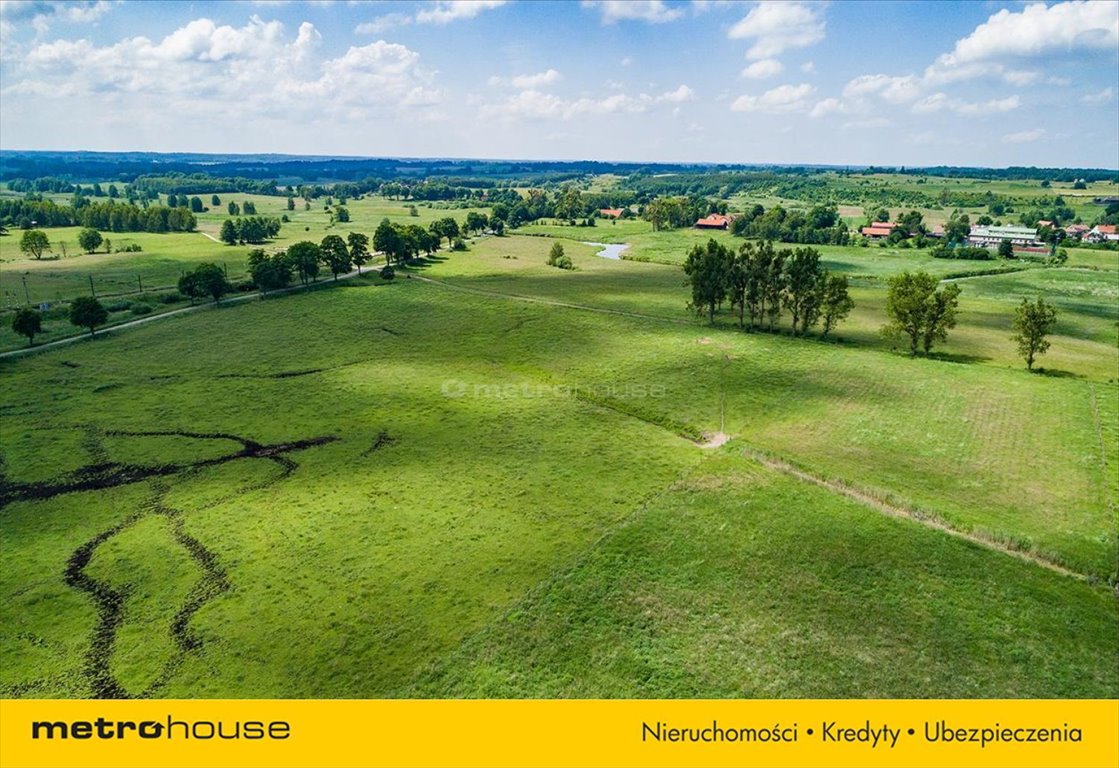 Działka siedliskowa na sprzedaż Jankowo  5 000m2 Foto 7