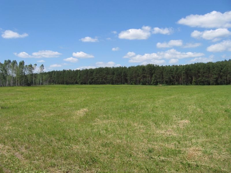 Działka rolna na sprzedaż Warkały 16 606m2 Foto 1 Działka rolna na sprzedaż Warkały 16 606m2 Foto 1