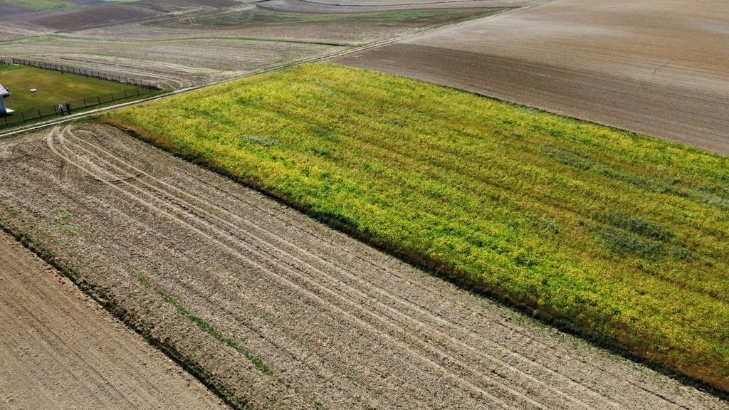 Działka rolna na sprzedaż Będzienica  5 800m2 Foto 3