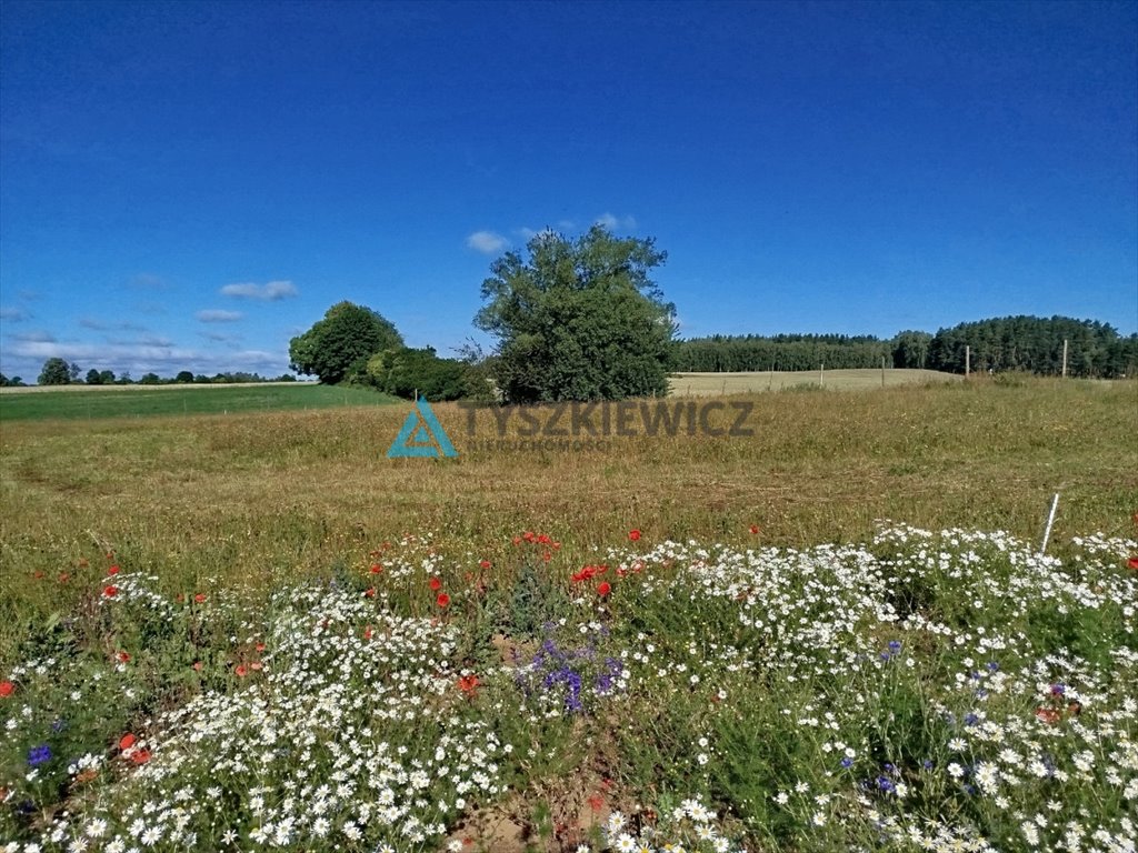 Działka budowlana na sprzedaż Starogard Gdański, Druha Józefa Grzybka  3 829m2 Foto 3