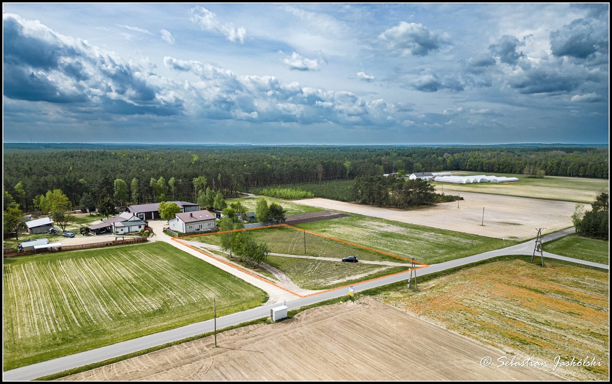 Działka rolna na sprzedaż Bibianna  3 000m2 Foto 3