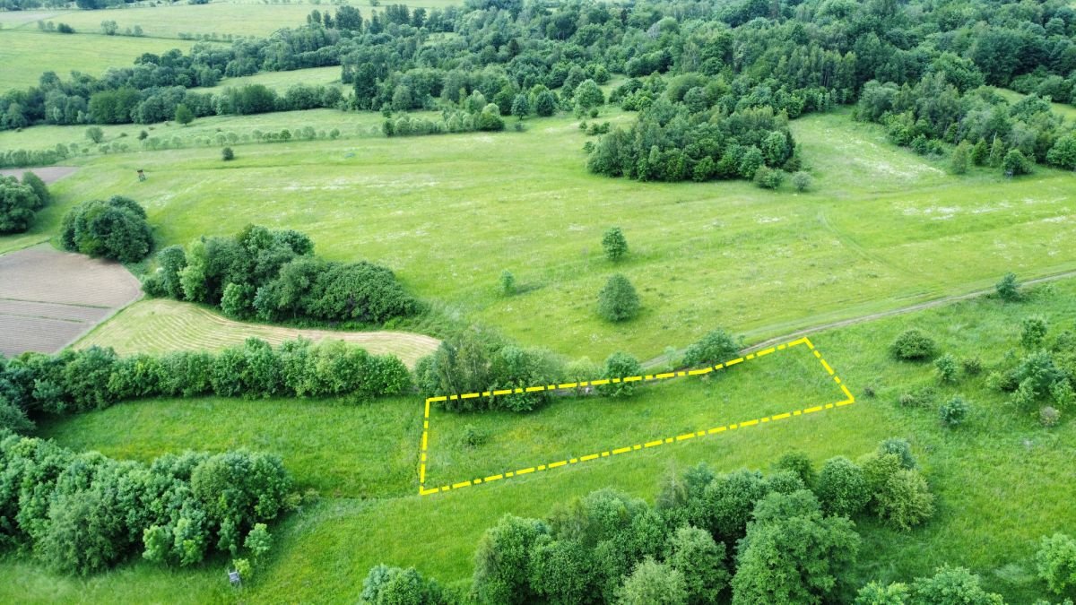 Działka rolna na sprzedaż Rychwałd  1 100m2 Foto 7