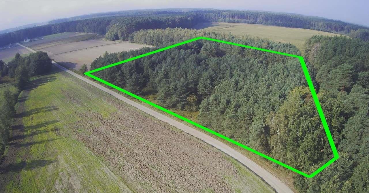 Działka 11 508 m² z warunkami zabudowy i lasem Nowa Róża  11 508m2 Foto 1