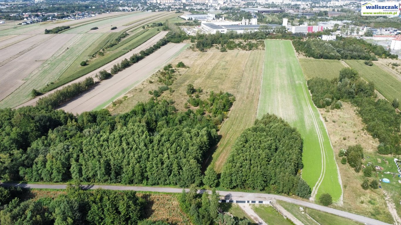 Działka budowlana na sprzedaż Piotrków Trybunalski, Wronia  24 900m2 Foto 6