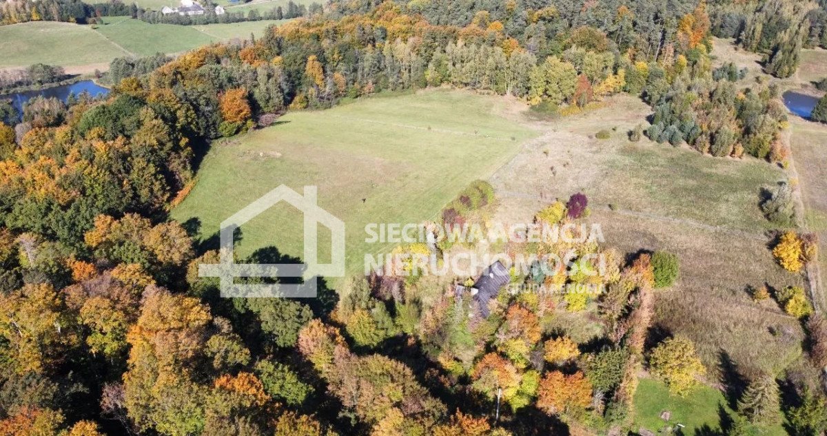 Działka budowlana 1367 m² z warunkami zabudowy w Jodłownie Jodłowno  1 367m2 Foto 1