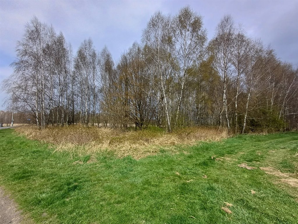 Działka produkcyjno-usługowa 6 901 m² w Wodzisławiu Wodzisław Śląski  6 901m2 Foto 1