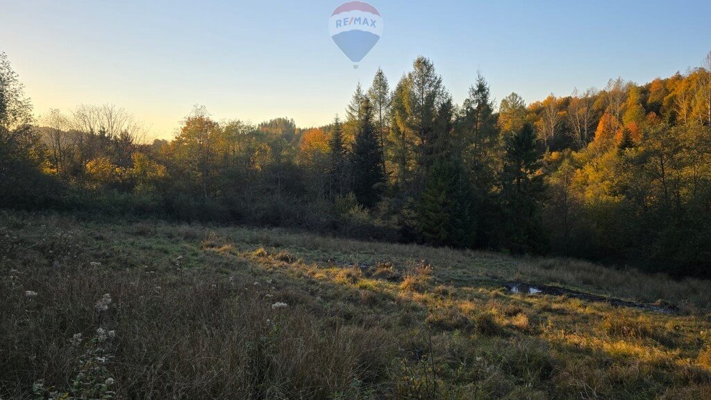 Działka rolna na sprzedaż Szczawnica  2 578m2 Foto 2