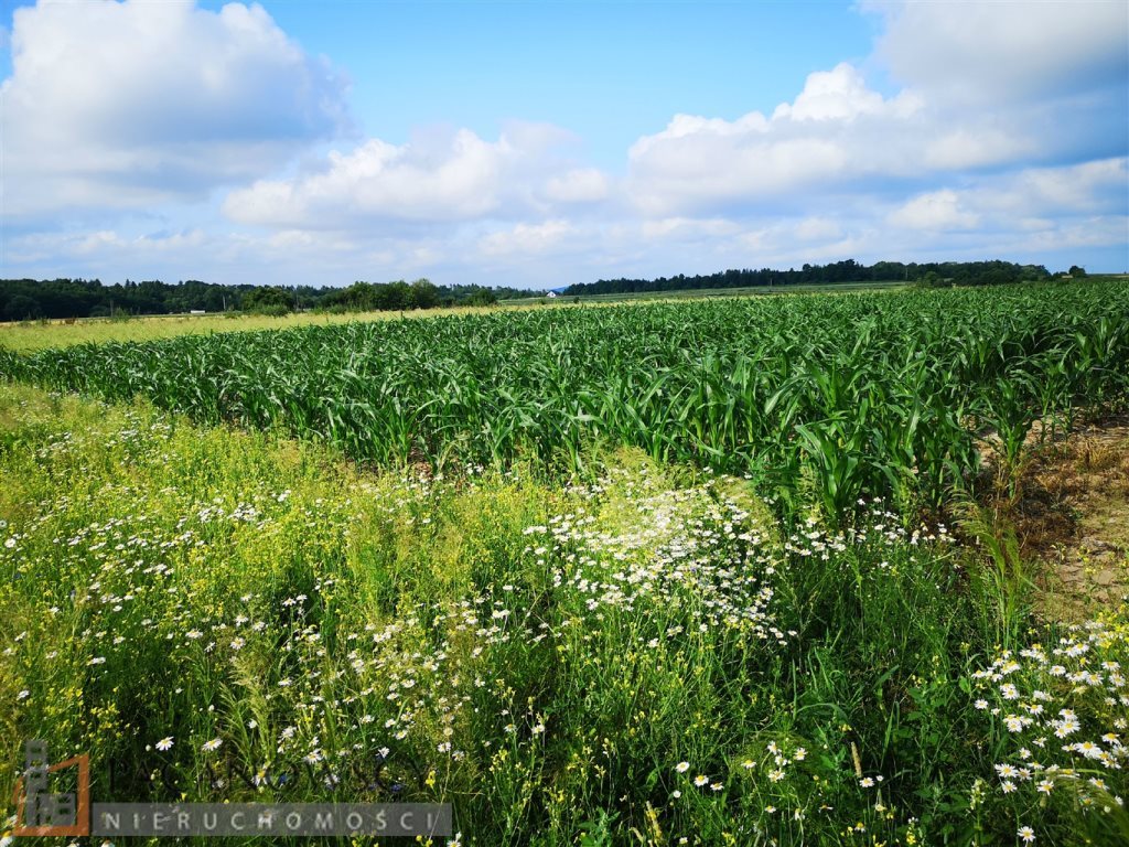 Działka budowlana na sprzedaż Bibice 989m2 Foto 1 Działka budowlana na sprzedaż Bibice 989m2 Foto 1