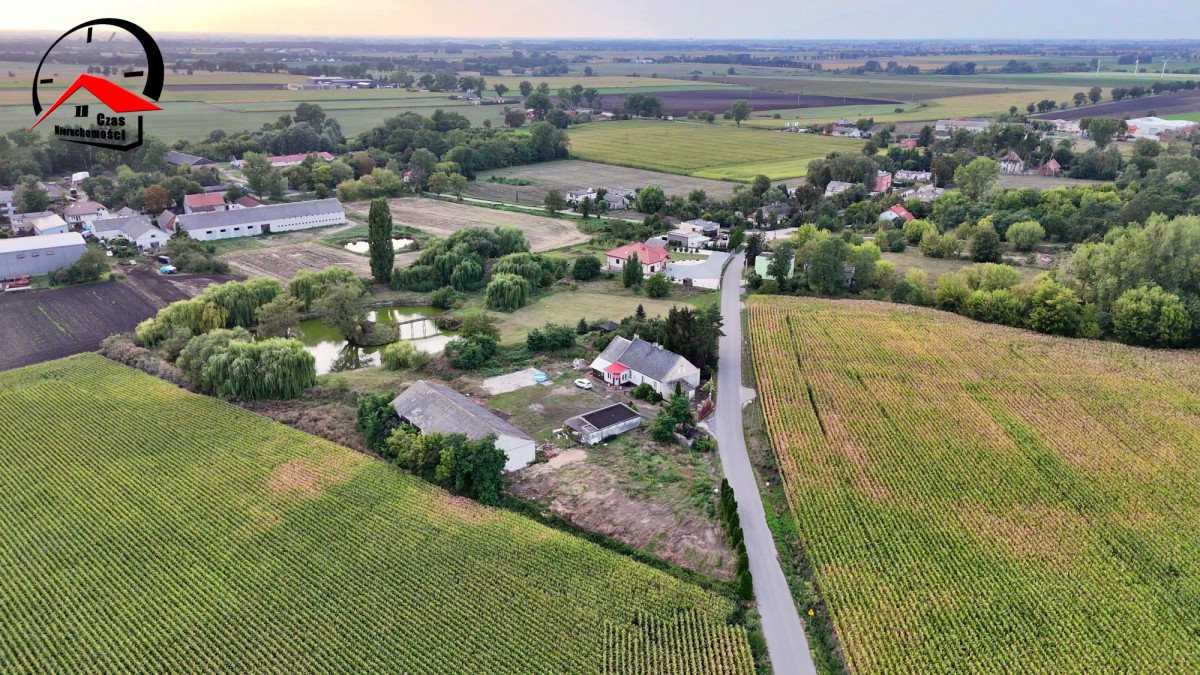 Lokal użytkowy na sprzedaż Chełmiczki  380m2 Foto 6