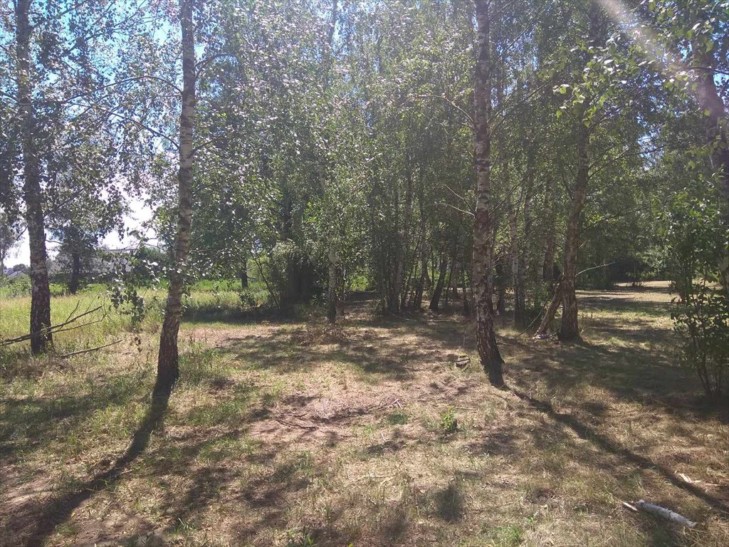 Działka budowlana na sprzedaż łomianki dąbrowa, Prosta  2 574m2 Foto 10