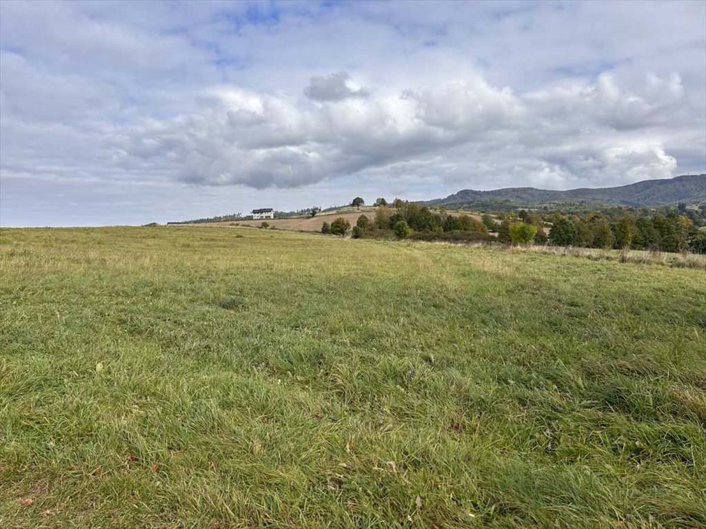 Działki w Wojciechowicach z widokiem na Góry Stołowe Wojciechowice  1 441m2 Foto 1