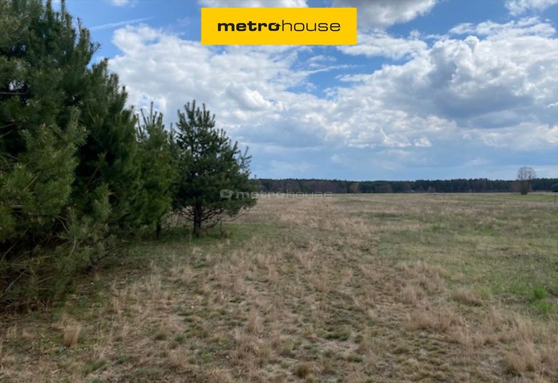 Polecam dużą działkę leśną 2,5 ha w Dukt, cicha okolica Dukt  26 191m2 Foto 1