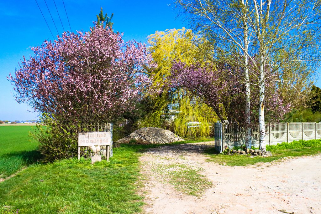 Dom na sprzedaż Czerlejno  190m2 Foto 1