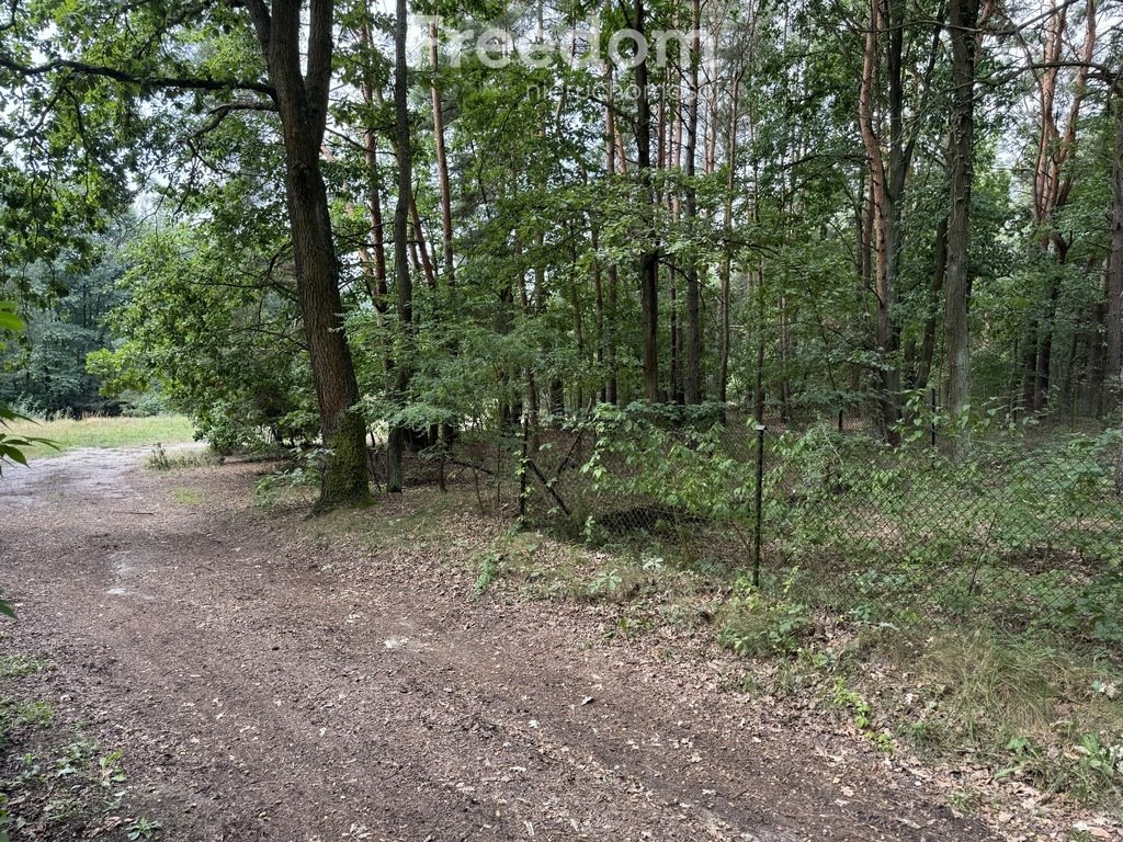 Działka budowlana na sprzedaż Dąbrowa Kozłowska  2 368m2 Foto 13