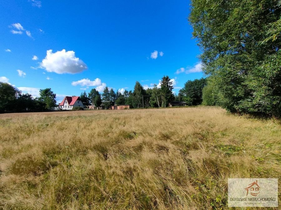 Działka rolna na sprzedaż Rzęśnica, Rzęśnica  9 700m2 Foto 1