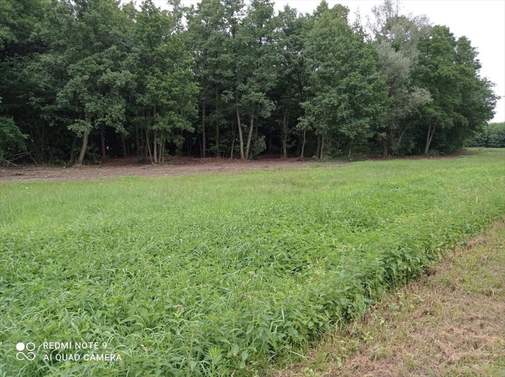 Działka budowlana na sprzedaż Rybno Wielkie, Brzozowa  1 931m2 Foto 3